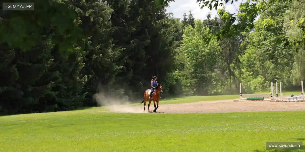 🚀速度与力量的碰撞，直播见证奇迹诞生！📡