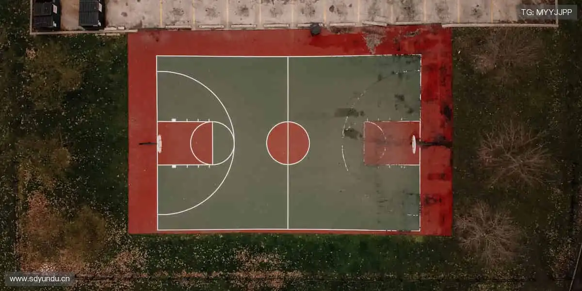 指尖轻点，赛事同步！📱