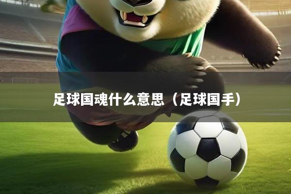 足球国魂什么意思(足球国手)