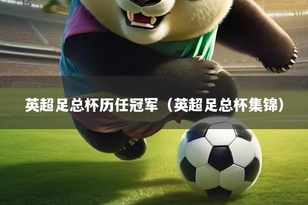 英超足总杯历任冠军(英超足总杯集锦)